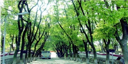 2017年 江西省建筑工程技术学院招生简章