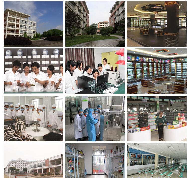 2019年江西省医药技师学院