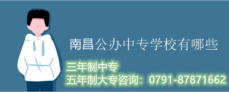 会计电算化